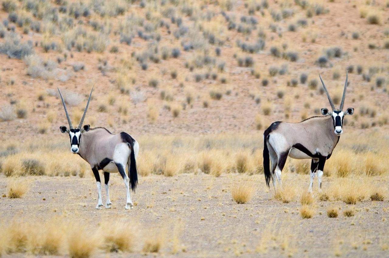 Villa Wilderness Safaris Doro Nawas Twyfelfontein Exterior foto