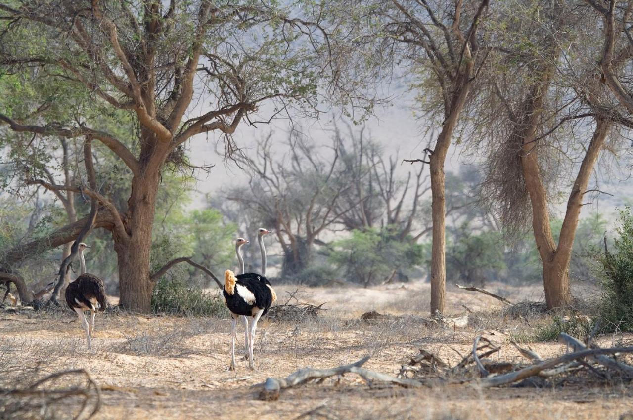 Villa Wilderness Safaris Doro Nawas Twyfelfontein Exterior foto