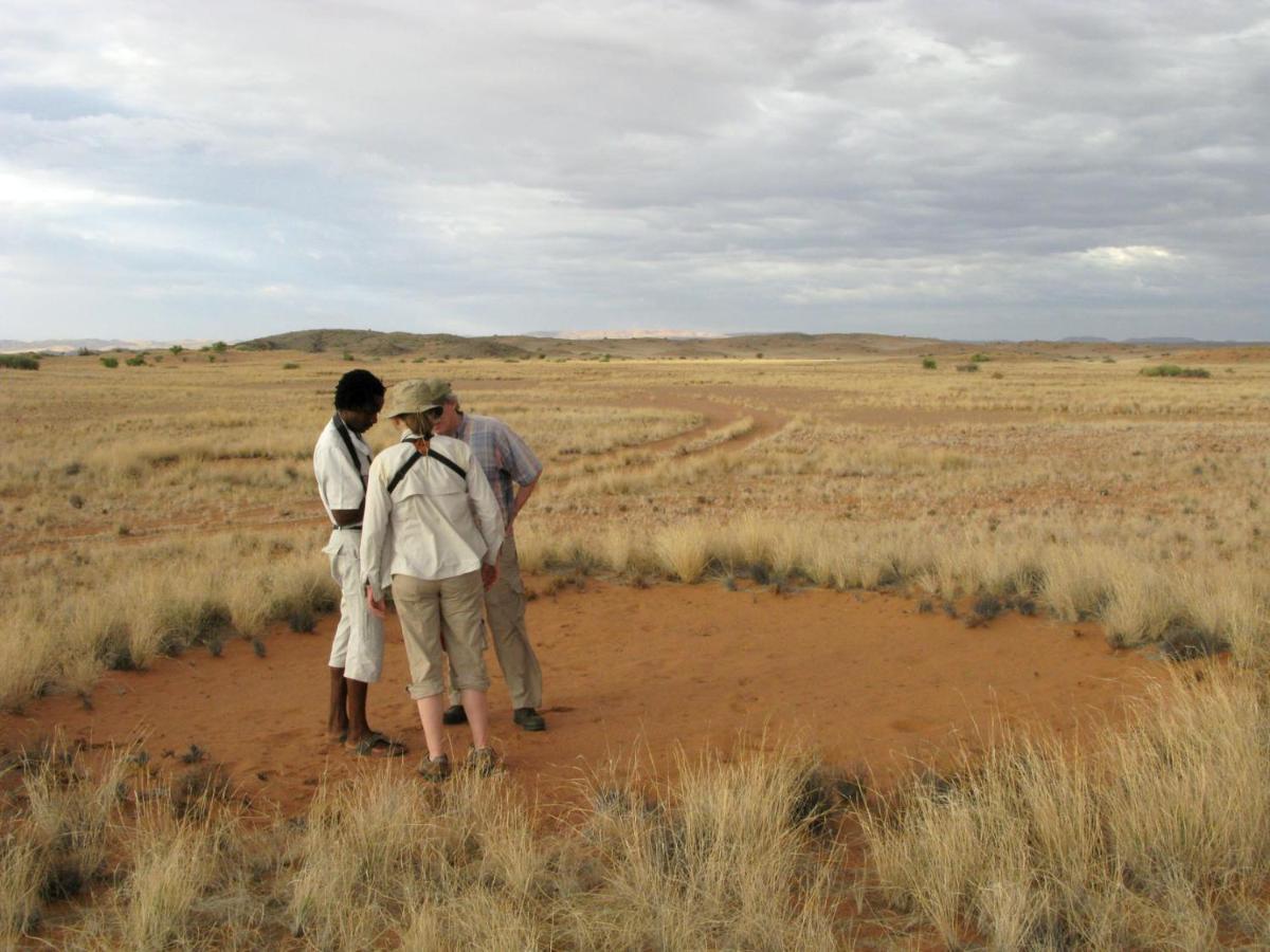 Villa Wilderness Safaris Doro Nawas Twyfelfontein Exterior foto